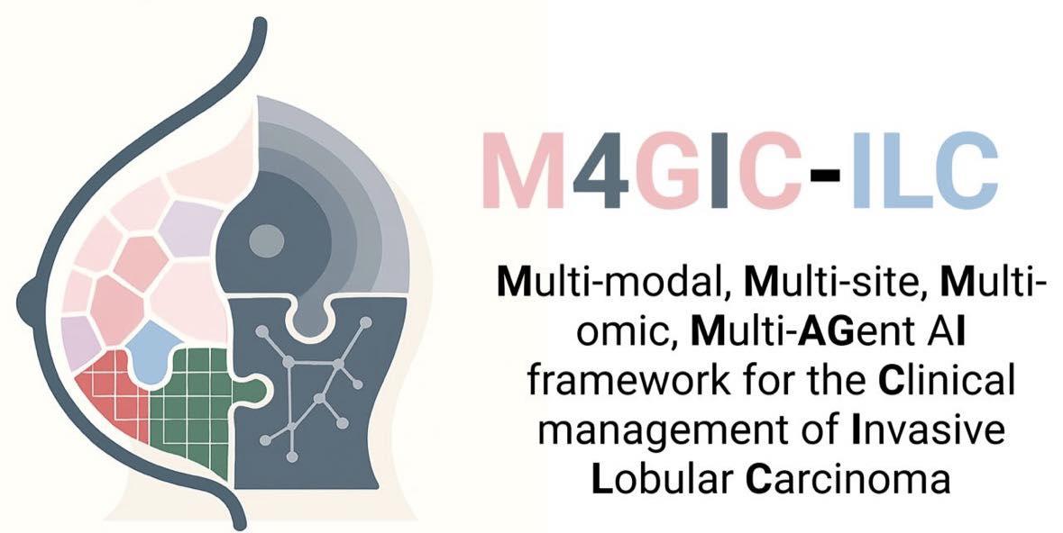 M4GIC-ILC
