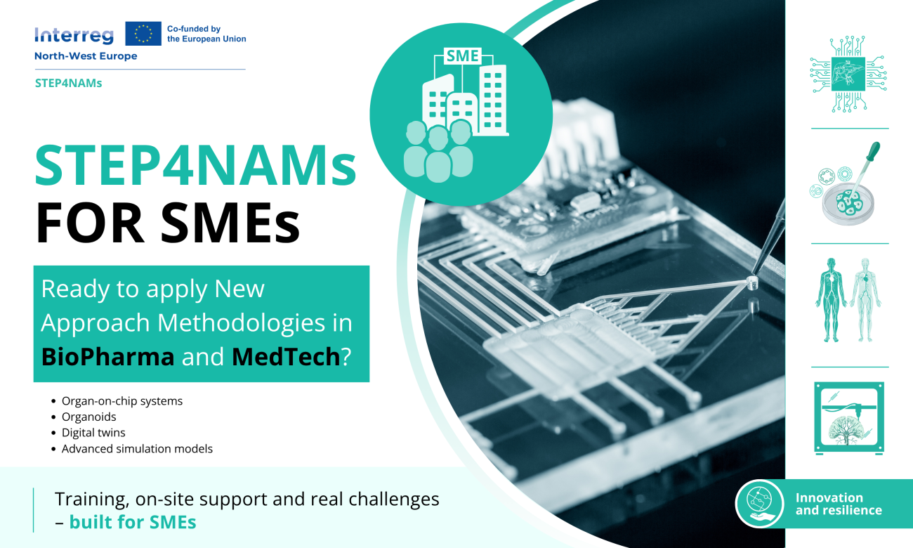 STEP4NAMs image