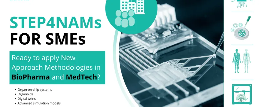 STEP4NAMs image